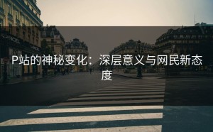 P站的神秘变化：深层意义与网民新态度