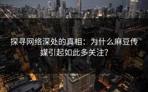 探寻网络深处的真相：为什么麻豆传媒引起如此多关注？