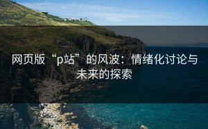 网页版“p站”的风波：情绪化讨论与未来的探索