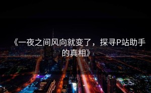 《一夜之间风向就变了，探寻P站助手的真相》