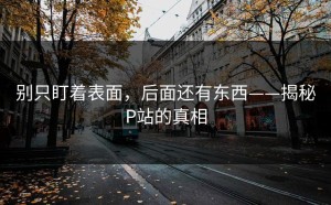 别只盯着表面，后面还有东西——揭秘P站的真相
