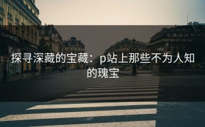探寻深藏的宝藏：p站上那些不为人知的瑰宝