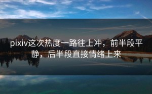 pixiv这次热度一路往上冲，前半段平静，后半段直接情绪上来
