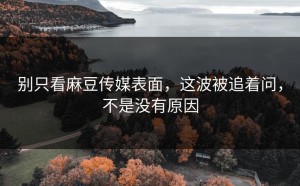 别只看麻豆传媒表面，这波被追着问，不是没有原因