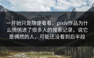 一开始只是随便看看，pixiv作品为什么悄悄进了很多人的搜索记录，说它是偶然的人，可能还没看到后半段