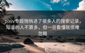 pixiv专题悄悄进了很多人的搜索记录，知道的人不算多，但一旦看懂就很难忽略