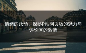 情绪的跃动：探秘P站网页版的魅力与评论区的激情