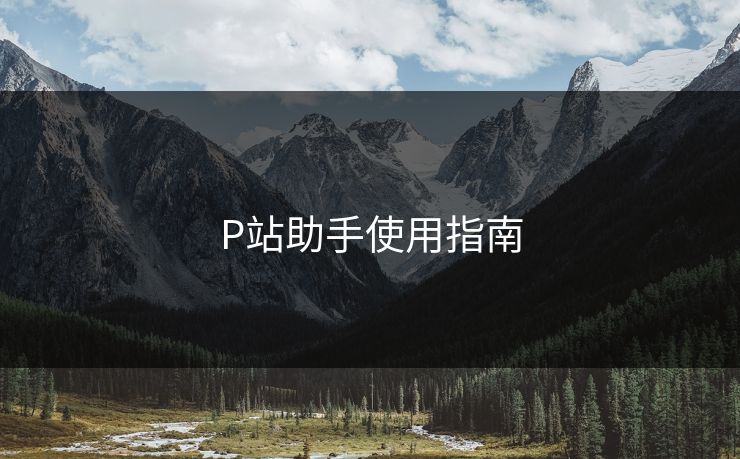 P站助手使用指南 P站助手使用指南