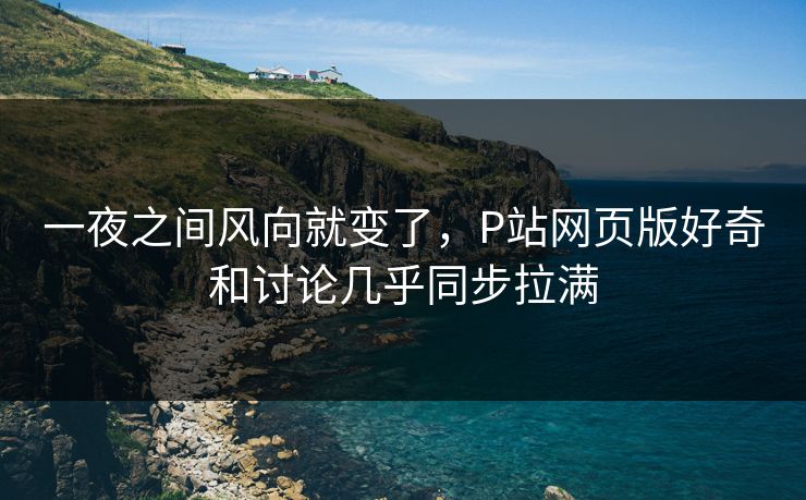 一夜之间风向就变了，P站网页版好奇和讨论几乎同步拉满