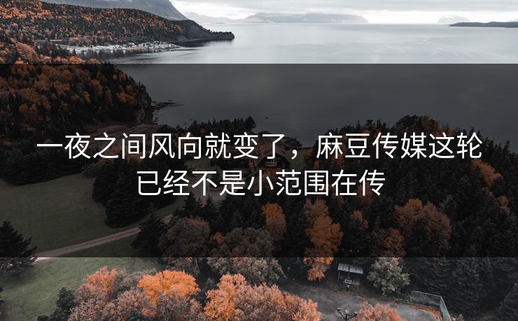 一夜之间风向就变了,麻豆传媒这轮已经不是小范围在传 一夜之间风向就变了,麻豆传媒这轮已经不是小范围在传