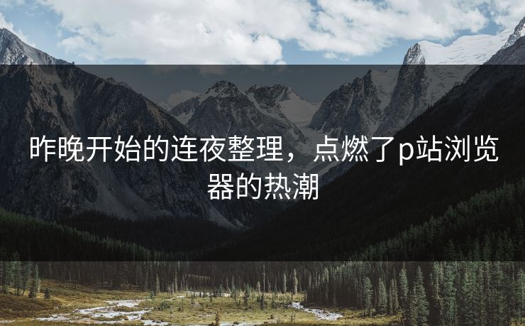 昨晚开始的连夜整理，点燃了p站浏览器的热潮