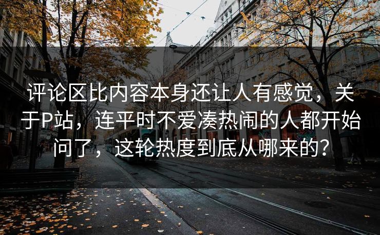 评论区比内容本身还让人有感觉，关于P站，连平时不爱凑热闹的人都开始问了，这轮热度到底从哪来的？