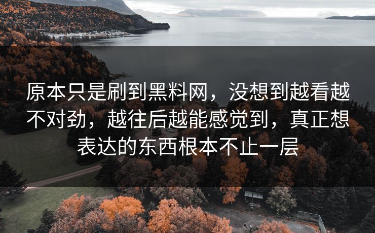 原本只是刷到黑料网，没想到越看越不对劲，越往后越能感觉到，真正想表达的东西根本不止一层